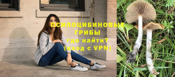 ешки Ладушкин