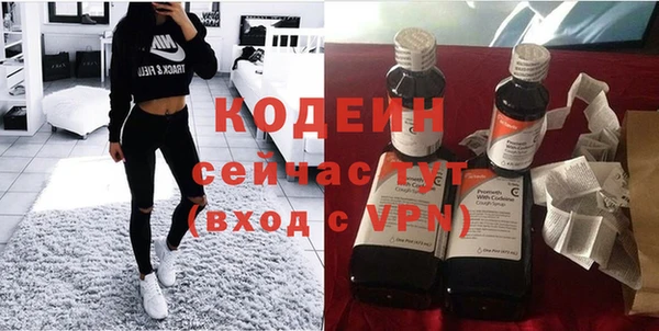 индика Видное