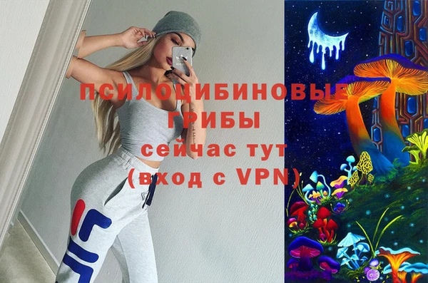 ешки Ладушкин