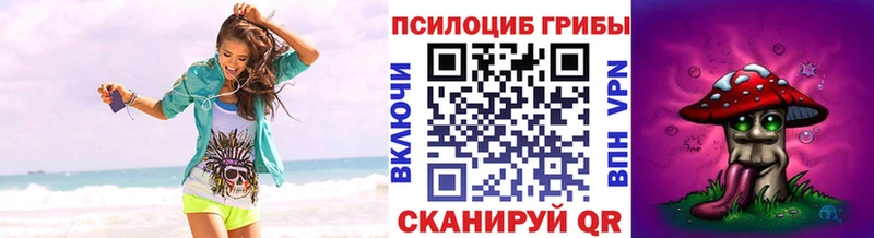 Псилоцибиновые грибы Psilocybe Мосальск